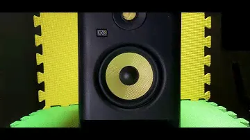4 Months After KRK ROKIT RP5 G4 Studio Monitor